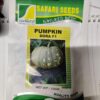 Dora F1 Pumpkin 10g
