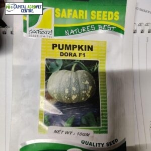 Dora F1 Pumpkin 10g