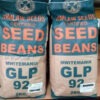 Mwitemania (GLP92)