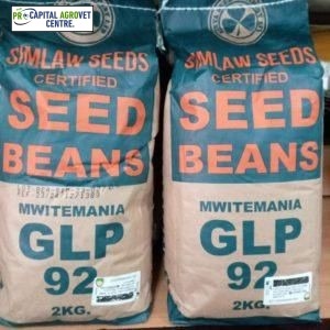 Mwitemania (GLP92)