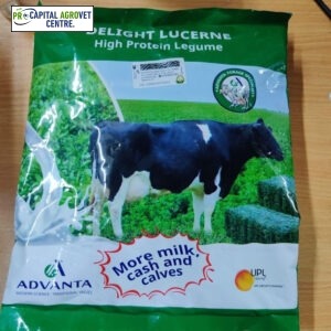 Delight Lucerne Advanta 1kg