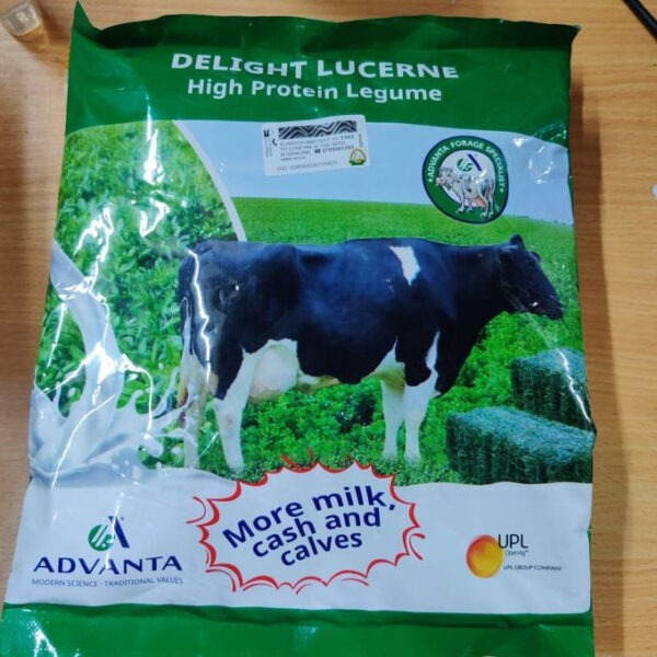 Delight Lucerne Advanta 1kg