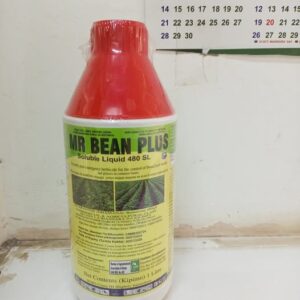 Mr Bean Plus 1L