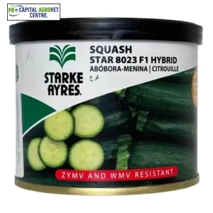 Green Zucchini Star 8023 - 100g