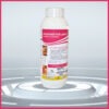 Gradometer Termicide 480 EC 100ml