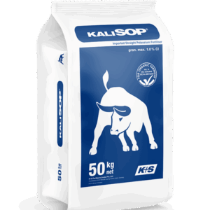 Potassium Sulphate - KaliSOP 50KG