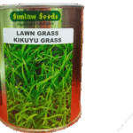 Kikuyu Grass 100g