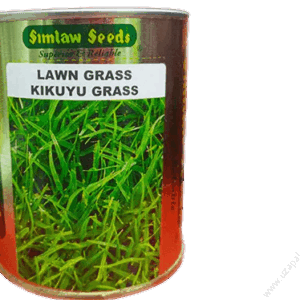 Kikuyu Grass 100g