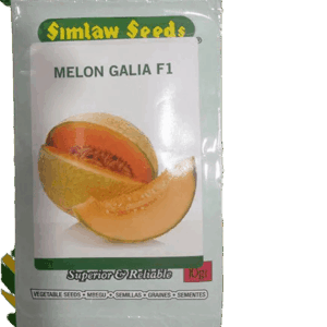 Sweet melon Galia Watermelon 10g