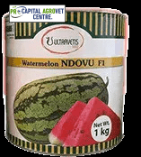 Ndovu F1 Watermelon 500g
