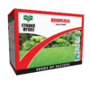 Bermuda Starke Ayres 500G
