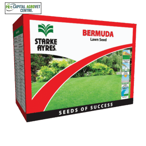 Bermuda Starke Ayres 500G