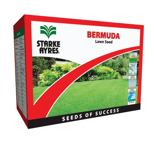 Bermuda Starke Ayres 500G