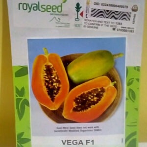 Vega F1 papaya 10 seeds