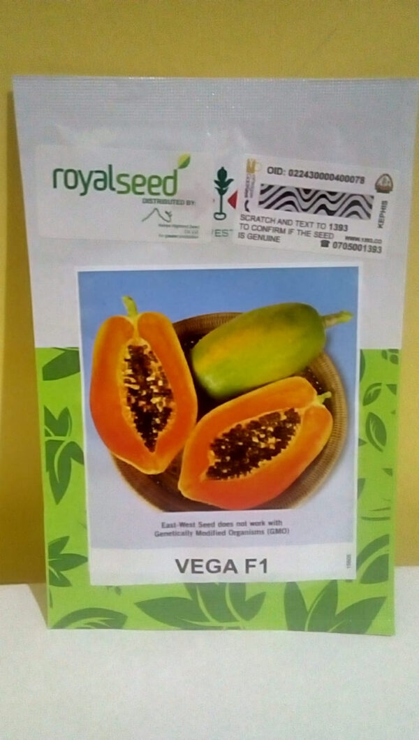 Vega F1 papaya 10 seeds