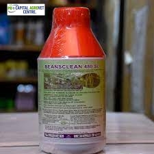 Beansclean 480SL 1L