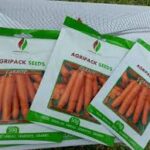 Carrot Nantes Agripack 25g