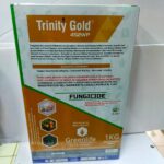 Trinity gold 1kg