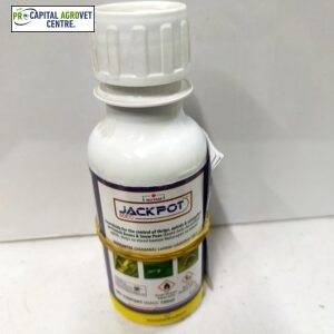 ackpot 100ml