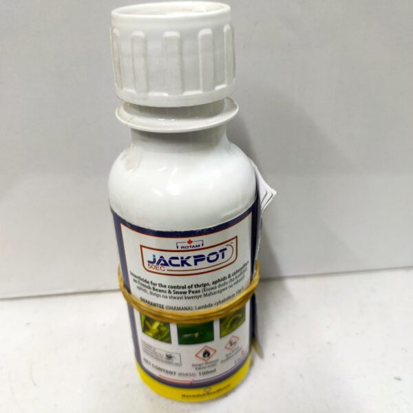 ackpot 100ml