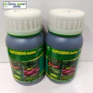 Capuchino 250ml