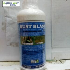 Rust blast 1Liter