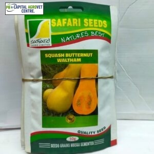Butternut 10gms