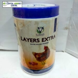 Layers extra 500gm