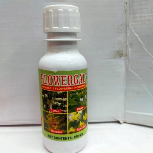 Flowergal Organic 100ml