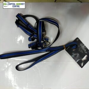 Dog leash set small