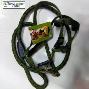 Dog leash set medium