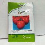 Rana F1 tomatoes 2.5gm