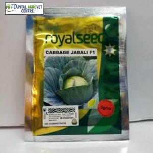 Cabbage jabali F5gm