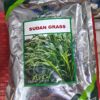 Sudan Grass